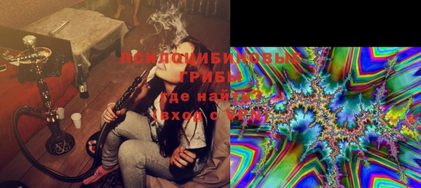 дмт Медвежьегорск