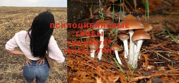 дмт Медвежьегорск