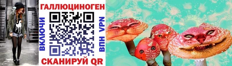 mega как зайти  Челябинск  Псилоцибиновые грибы прущие грибы 