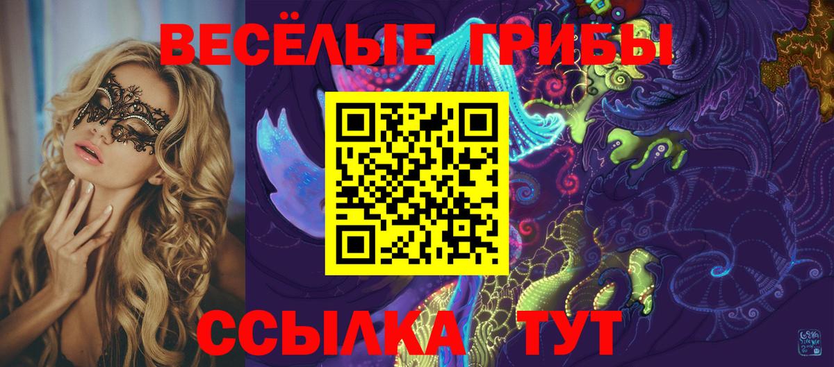 Челябинск  закладки  Вход с VPN  Псилоцибиновые грибы MAGIC MUSHROOMS 